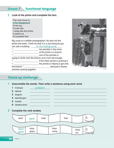  Combo 6 Quyển Sách Bài tập Academy Stars  Workbook ( Từ Tập 1 - Tập 6 ) 