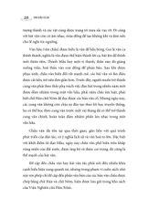 Văn Chầu Các Bà (Bìa Mềm) -  Phạm Bảo Nhung