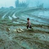  Trên Đỉnh Đổi Thay - Mountains Of Change - Bạch Nam Hải (Danny Bạch) 