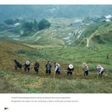  Trên Đỉnh Đổi Thay - Mountains Of Change - Bạch Nam Hải (Danny Bạch) 