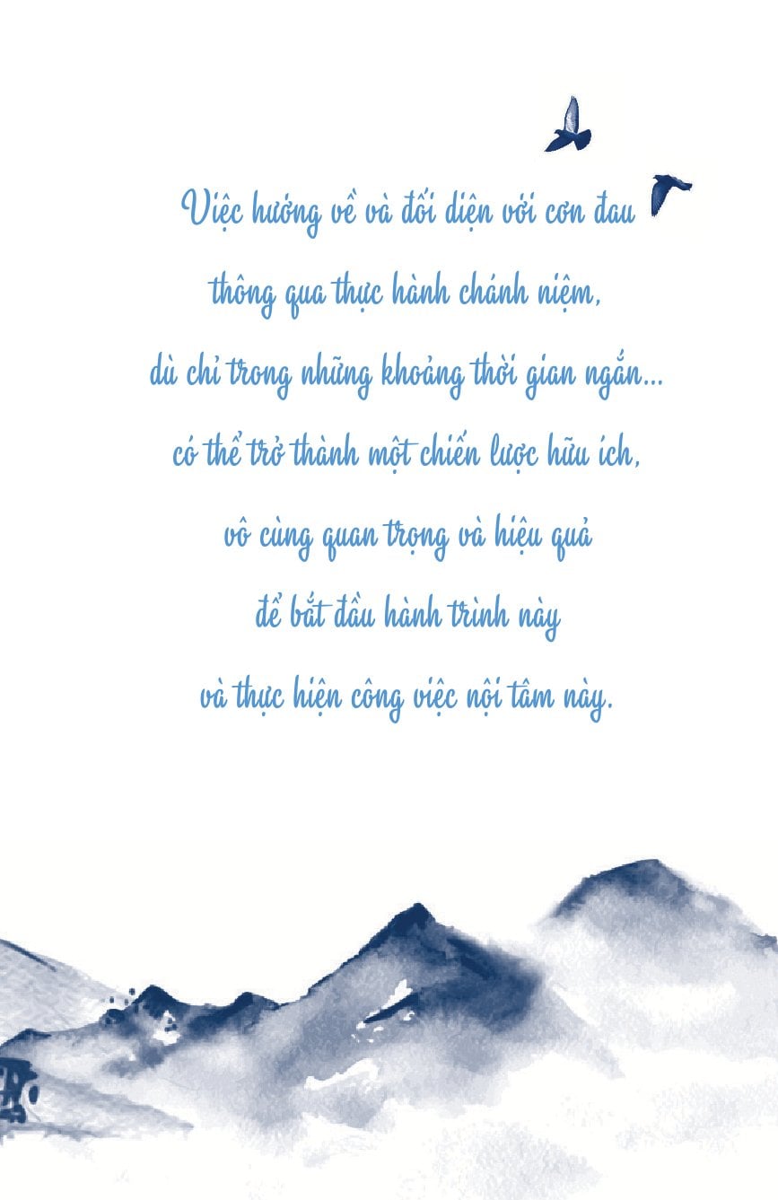 Giảm Đau Đớn Bằng Thiền Định - Mindfulness Meditation For Pain Relief - Jon Kabat-Zinn