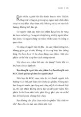 Khởi Nghiệp Kinh Doanh Online - Bán Hàng Hiệu Quả Trên Tiktok - Giver biên soạn