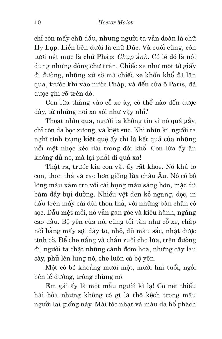 Văn Học Cổ Điển - Trong Gia Đình - Hector Malot