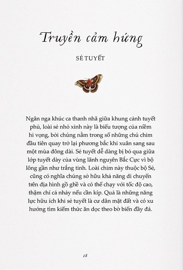 Combo 2 Cuốn Chuyện Kể Về Trăm Loài Chim + Sải Cánh Như Những Chú Chim