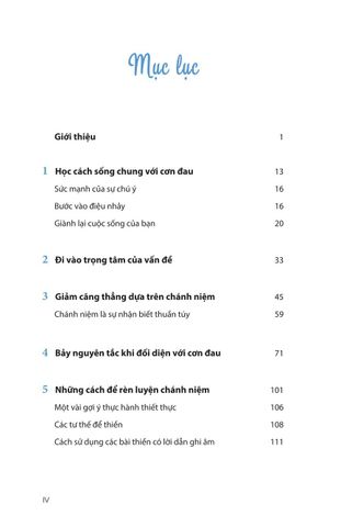  Giảm Đau Đớn Bằng Thiền Định - Mindfulness Meditation For Pain Relief - Jon Kabat-Zinn 
