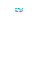 Hùm Xám Qua Sông - Bùi Tiểu Quyên