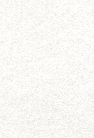  Hoa Hậu Ngách - Biến Thương Hiệu Thành Tiền - Michelle G. 