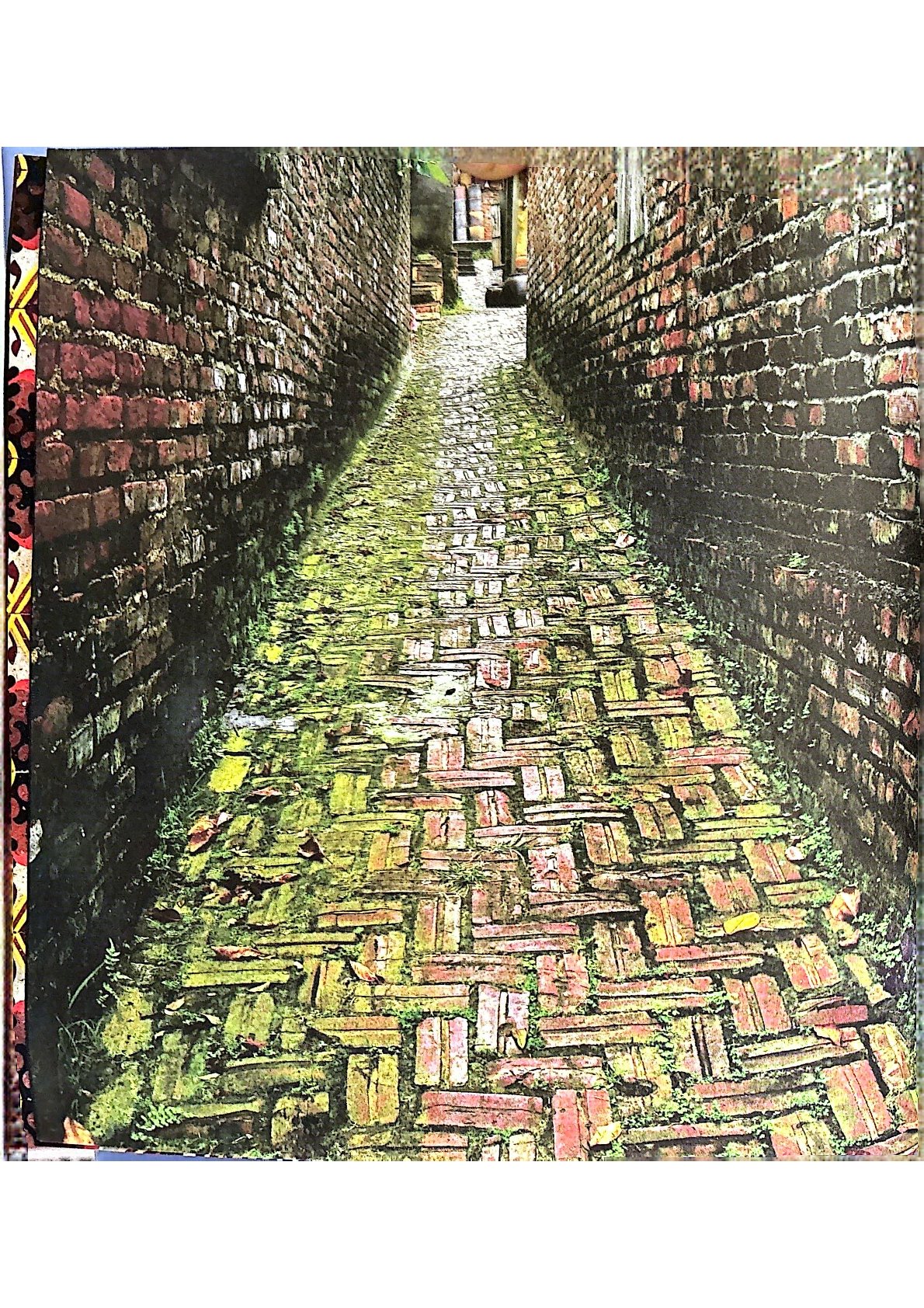 Easy To Cook 40 Delicious Vietnamese Dishes-As Listed By CNN