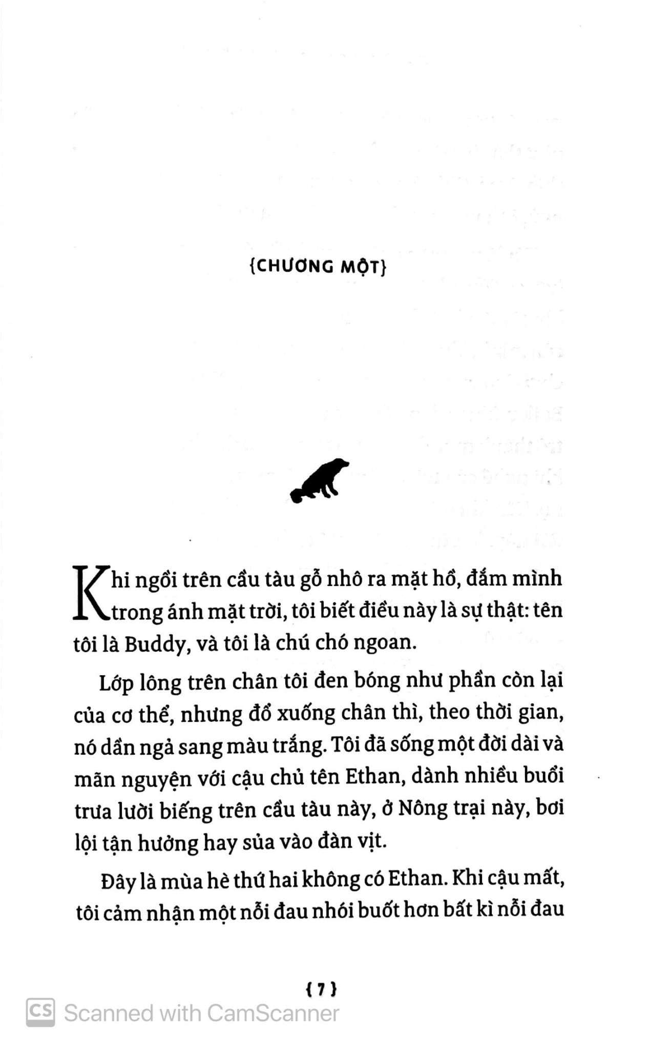 Hành Trình Của Một Chú Chó - W Bruce Cameron