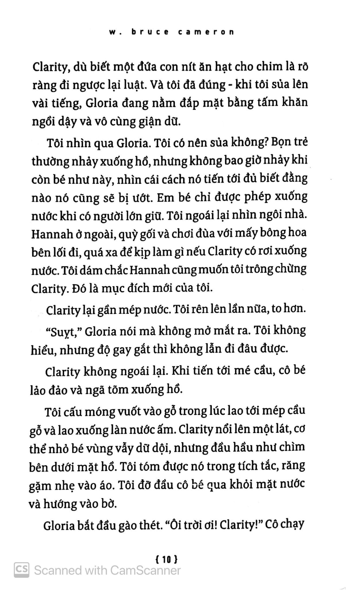 Hành Trình Của Một Chú Chó - W Bruce Cameron