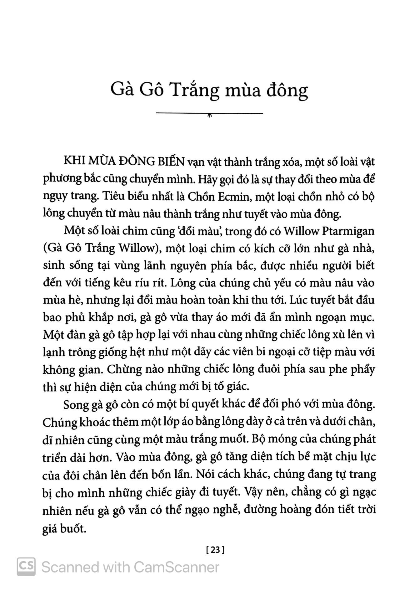 Chuyện Kể Về Trăm Loài Chim - BirdNote, Emily Poole