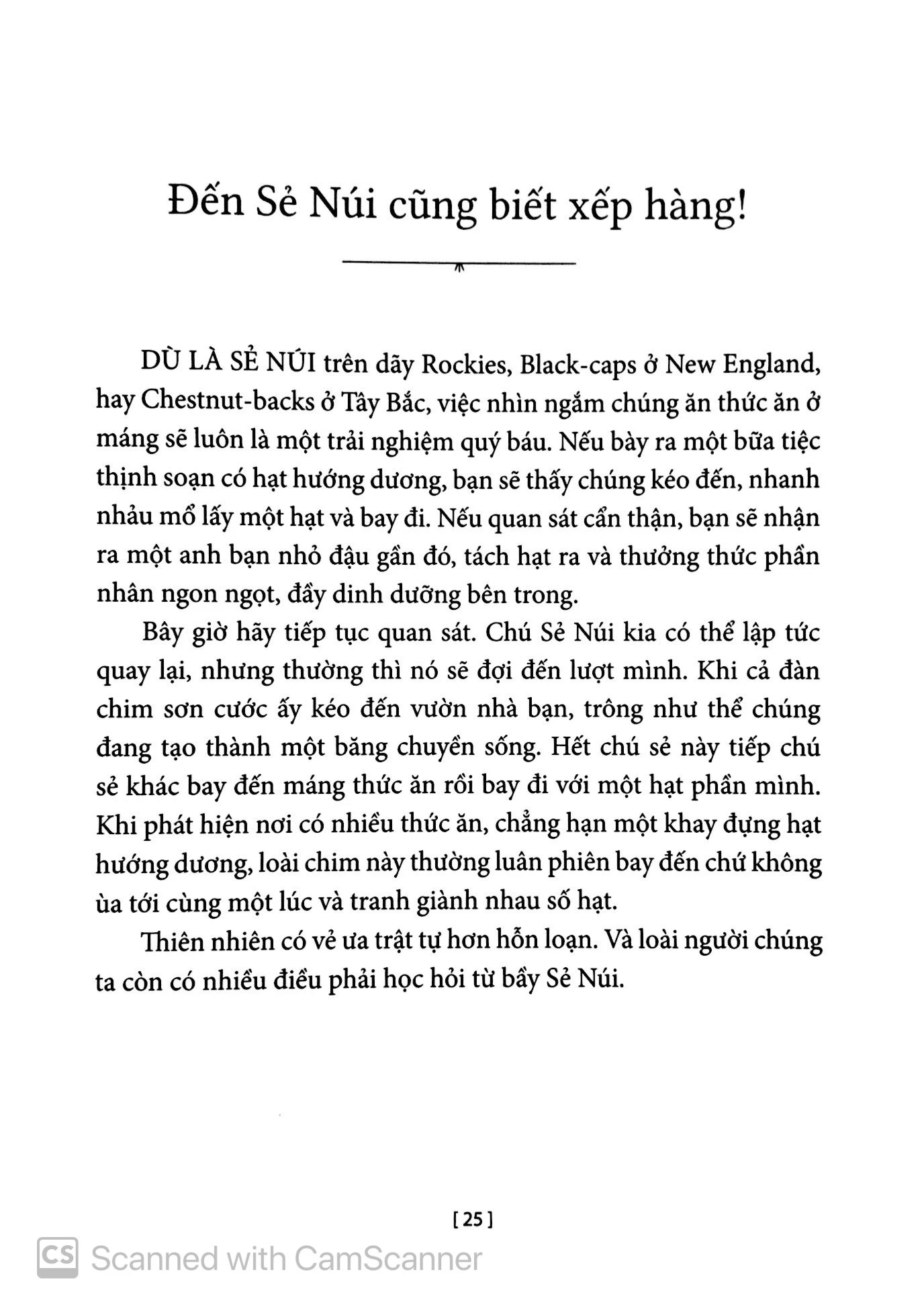 Combo 2 Cuốn Chuyện Kể Về Trăm Loài Chim + Sải Cánh Như Những Chú Chim