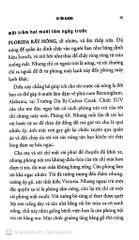 Đi Tìm Alaska - John Green