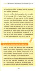 Combo 3 Quyển Kỹ Năng Cho Trẻ ( Trẻ Em Là Thiên Tài + Dạy Con Làm Việc Nhà + Thiên Tài Và Sự Giáo Dục Từ Sớm )