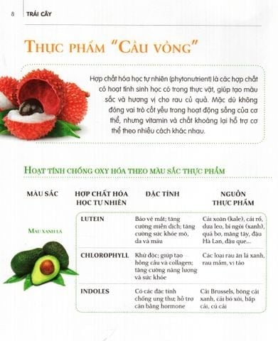 Combo 4 Quyển Dinh Dưỡng Chữa Bệnh ( Gia Vị & Thảo Dược + Đậu, Hạt & Ngũ Cốc + Dầu, Cá & Thực Phẩm Lên Men + Trái Cây )