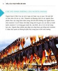 Combo 4 Quyển Dinh Dưỡng Chữa Bệnh ( Gia Vị & Thảo Dược + Đậu, Hạt & Ngũ Cốc + Dầu, Cá & Thực Phẩm Lên Men + Trái Cây )