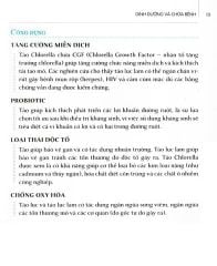 Combo 4 Quyển Dinh Dưỡng Chữa Bệnh ( Gia Vị & Thảo Dược + Đậu, Hạt & Ngũ Cốc + Dầu, Cá & Thực Phẩm Lên Men + Trái Cây )