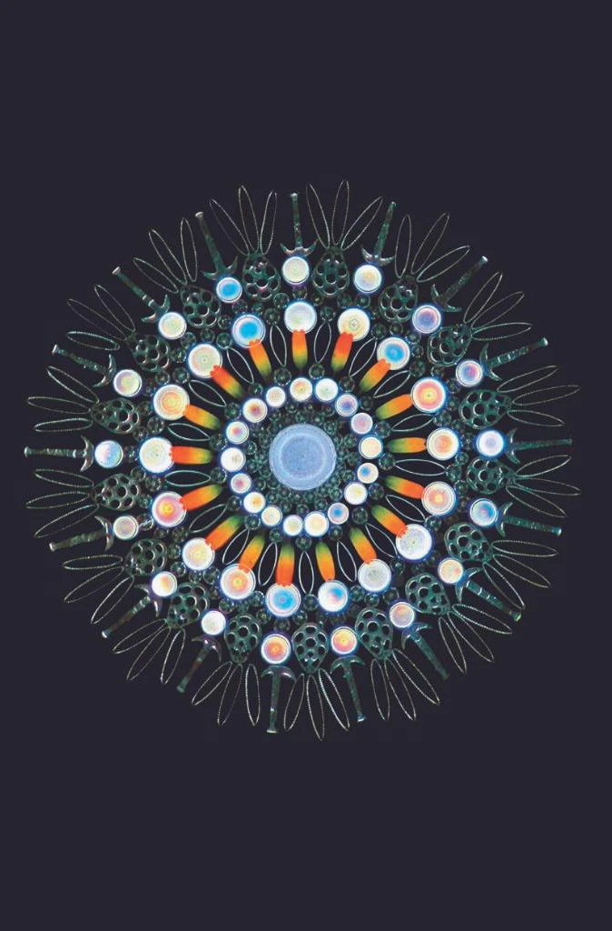 Vũ Trụ - Những Thế Giới Khả Hữu - Cosmos - Possible Worlds - Bìa Cứng
 - Ann Druyan