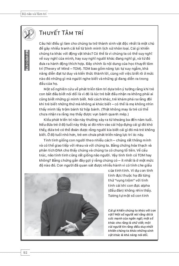 Bộ 6 Quyển Tâm Lý Học Toàn Thư Của NXB Trẻ ( Lịch Sử Tâm Lý Học + Tâm Lý Học Phát Triển + Tâm Lý Học Bất Thường + Tâm Lý Học Xã Hội + Bộ Não Và Tâm Trí + Tư Duy Và Hiểu Biết )