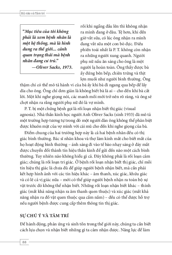 Bộ 6 Quyển Tâm Lý Học Toàn Thư Của NXB Trẻ ( Lịch Sử Tâm Lý Học + Tâm Lý Học Phát Triển + Tâm Lý Học Bất Thường + Tâm Lý Học Xã Hội + Bộ Não Và Tâm Trí + Tư Duy Và Hiểu Biết )