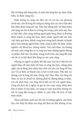 Giá Trị Của Sự Tử Tế - Piero Ferrucci