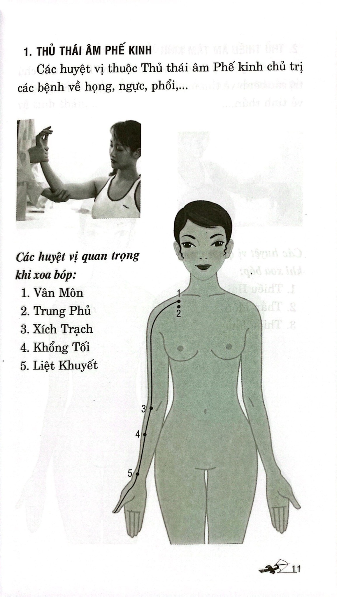Day Ấn Xoa Bóp Trị Liệu 20 Bệnh Thường Gặp - Lý Nam Sinh