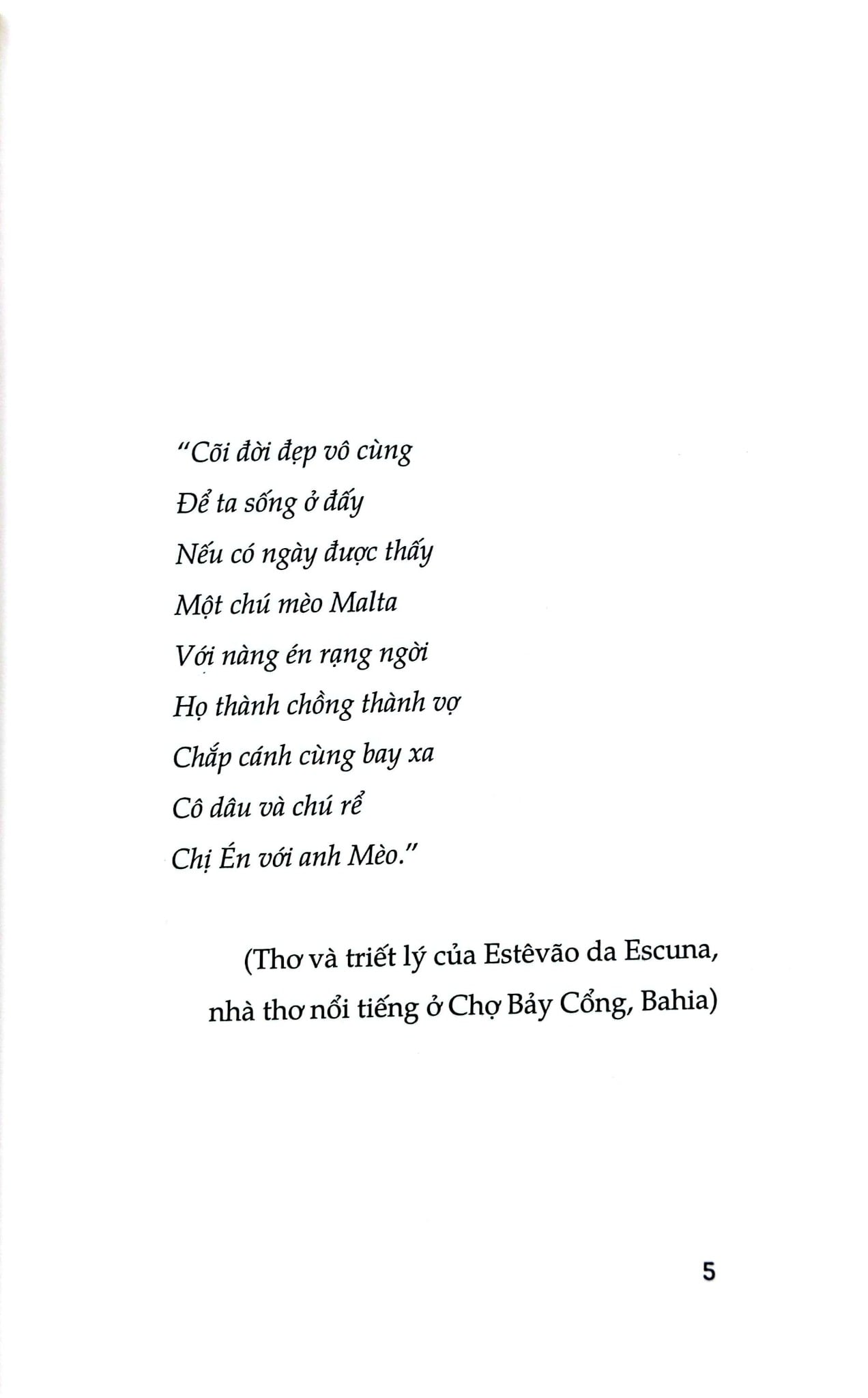 Anh Mèo Vằn Và Cô Chim Én - Jorge Amado