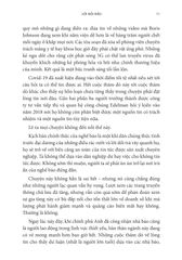 Hướng Dẫn Sử Dụng Tin Tức - Tin Vào Đâu Trong Một Thế Giới Ngập Tràn Tin Giả - Alan Rusbridger