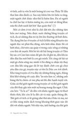 Trò Chuyện Với Hoa Thủy Tiên Và... - Nguyễn Huy Thiệp