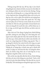 Trò Chơi Sinh Tồn Không Ai Sống Sót - 
Hoàng Nhật