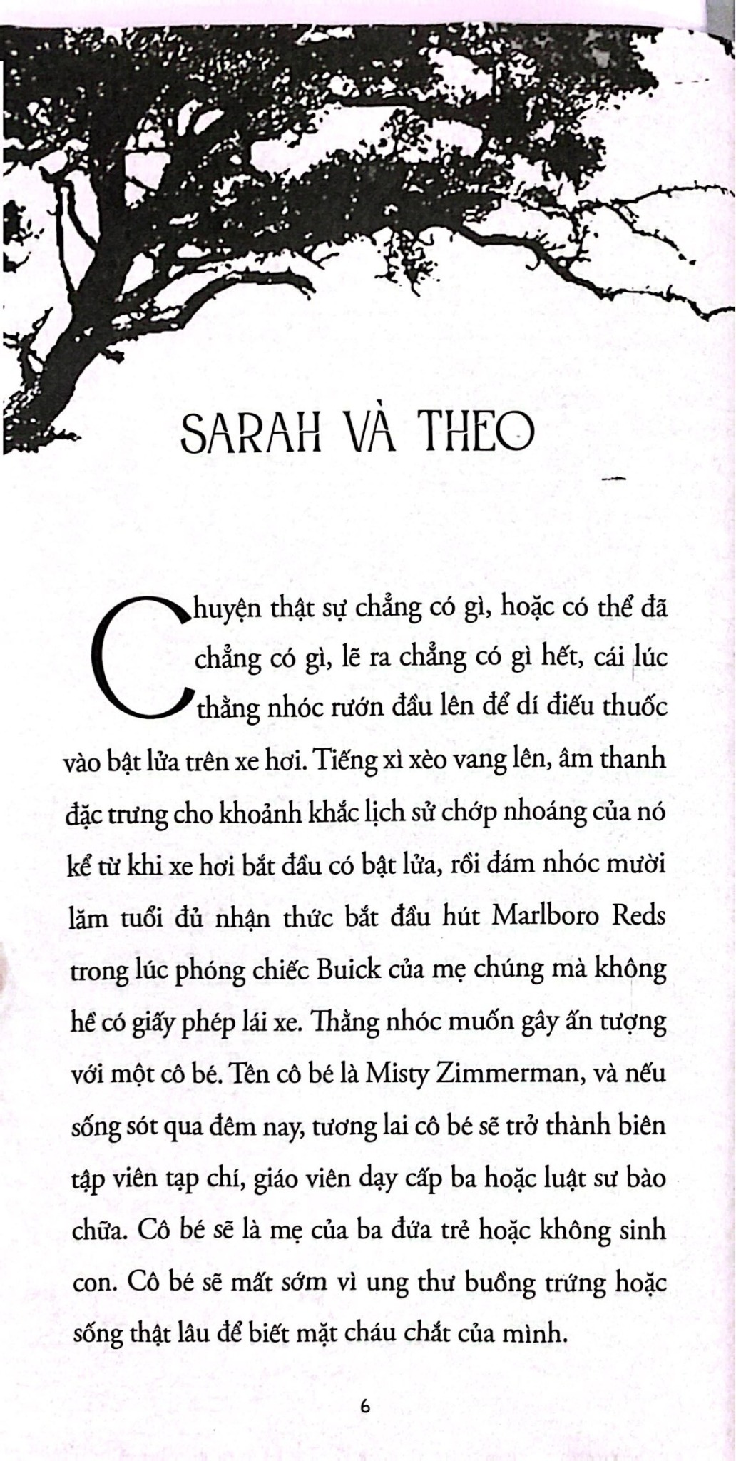 Combo 2 Quyển Bình Minh Trên Phố Brooklyn + Những Đốm Lửa Trong Đêm - Betty Smith, Dani Shapiro