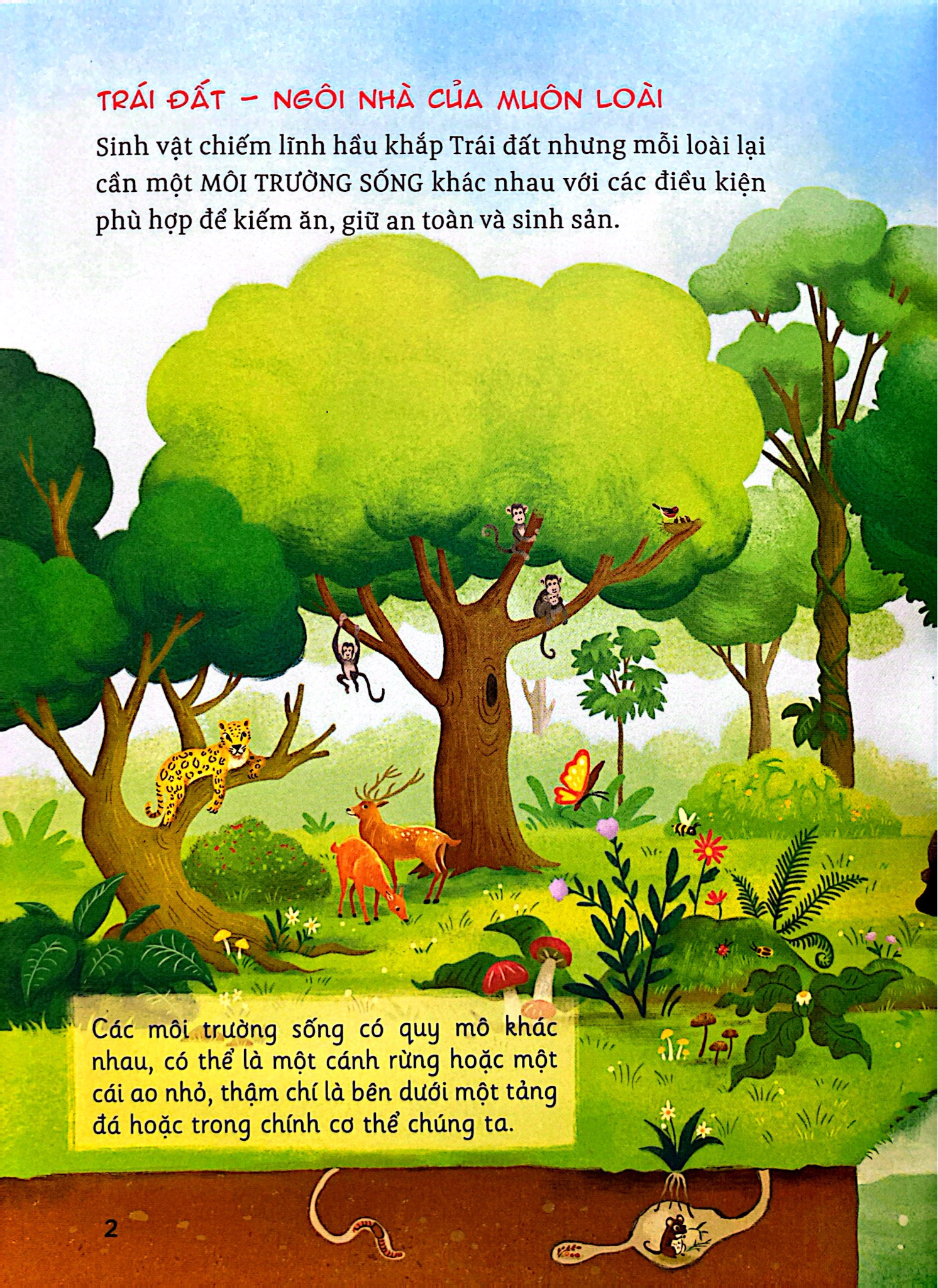 Hành Trình Khám Phá - Hệ Sinh Thái - Thanh Hà, Huy Hudson
