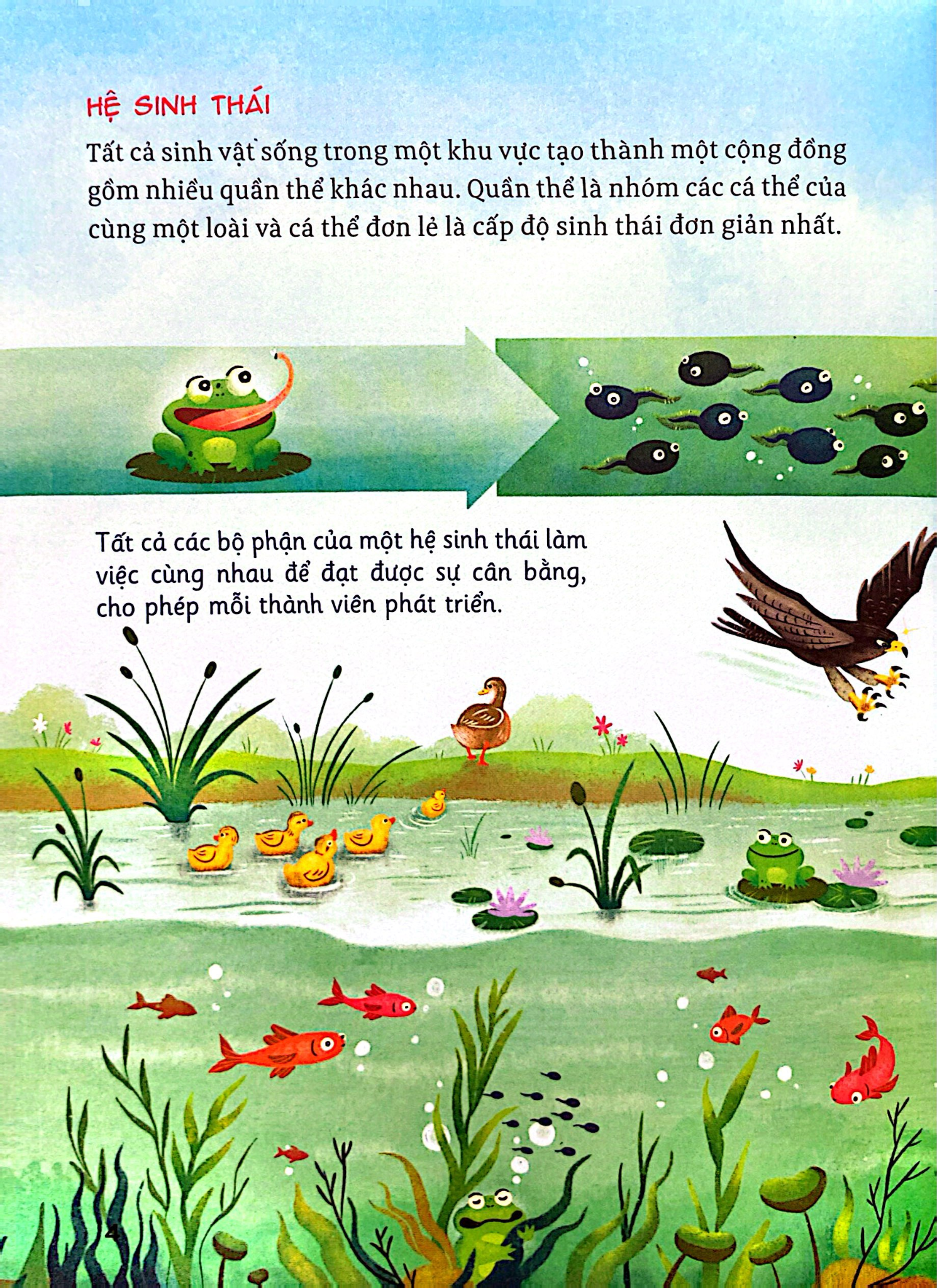 Hành Trình Khám Phá - Hệ Sinh Thái - Thanh Hà, Huy Hudson