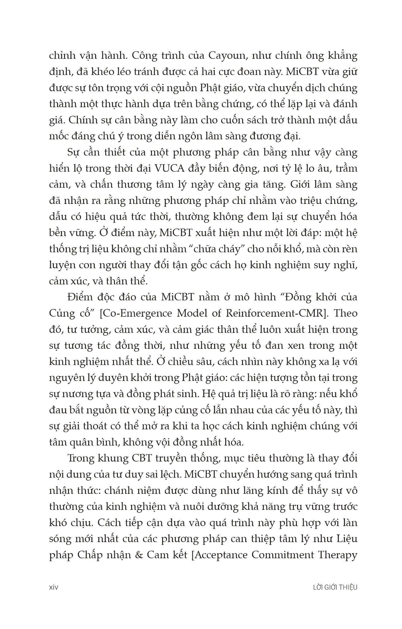 Trị Liệu - Nhận Thức Hành Vi Tích Hợp Chánh Niệm - Nguyên Tắc Và Thực Hành - Bruno A. Cayoun