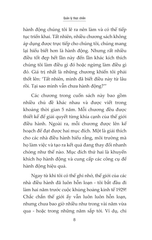 Bộ Sách 8 Cuốn Kinh Điển Của Peter Drucker - Tinh Hoa Quản Lý Hiện Đại