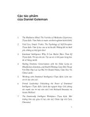 Tầm Nhìn Của Đức Đạt Lai Lạt Ma Về Thế Giới - Daniel Goleman
