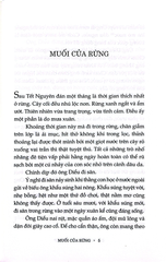 Cánh Buồm Nâu Thuở Ấy - Nguyễn Huy Thiệp