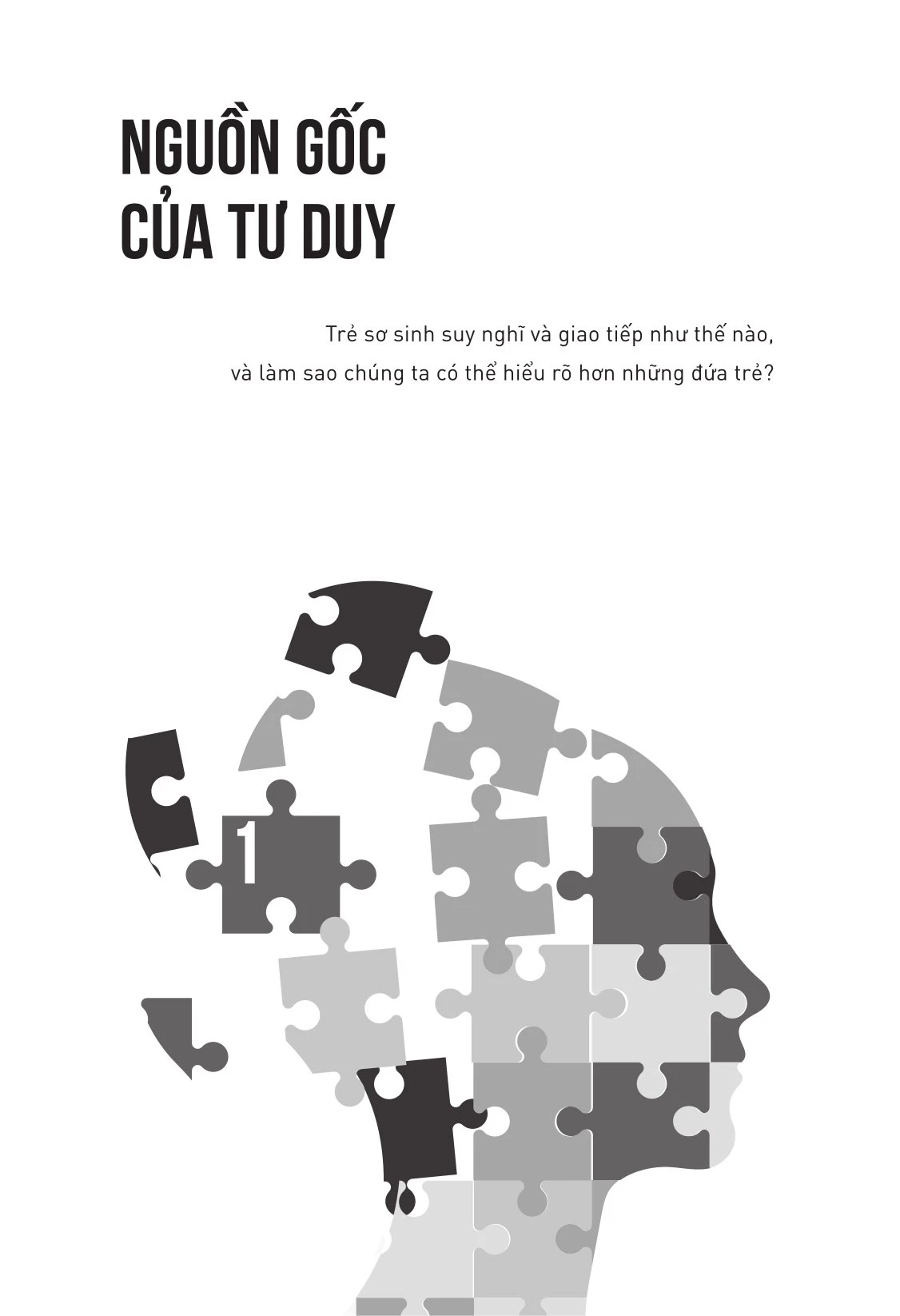 Bí Mật Của Tâm Trí - Cách Não Bộ Suy Nghĩ, Cảm Nhận Và Ra Quyết Định - 
Mariano Sigman