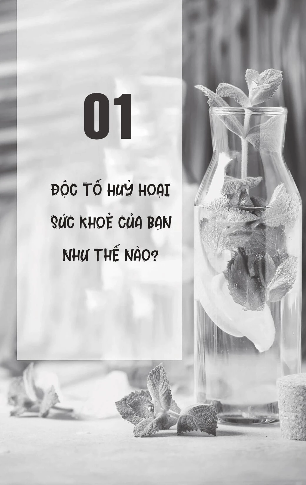 60 Ngày Thải Độc Cơ Thể - Joseph E. Pizzorno