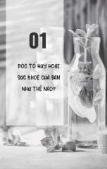 60 Ngày Thải Độc Cơ Thể - Joseph E. Pizzorno