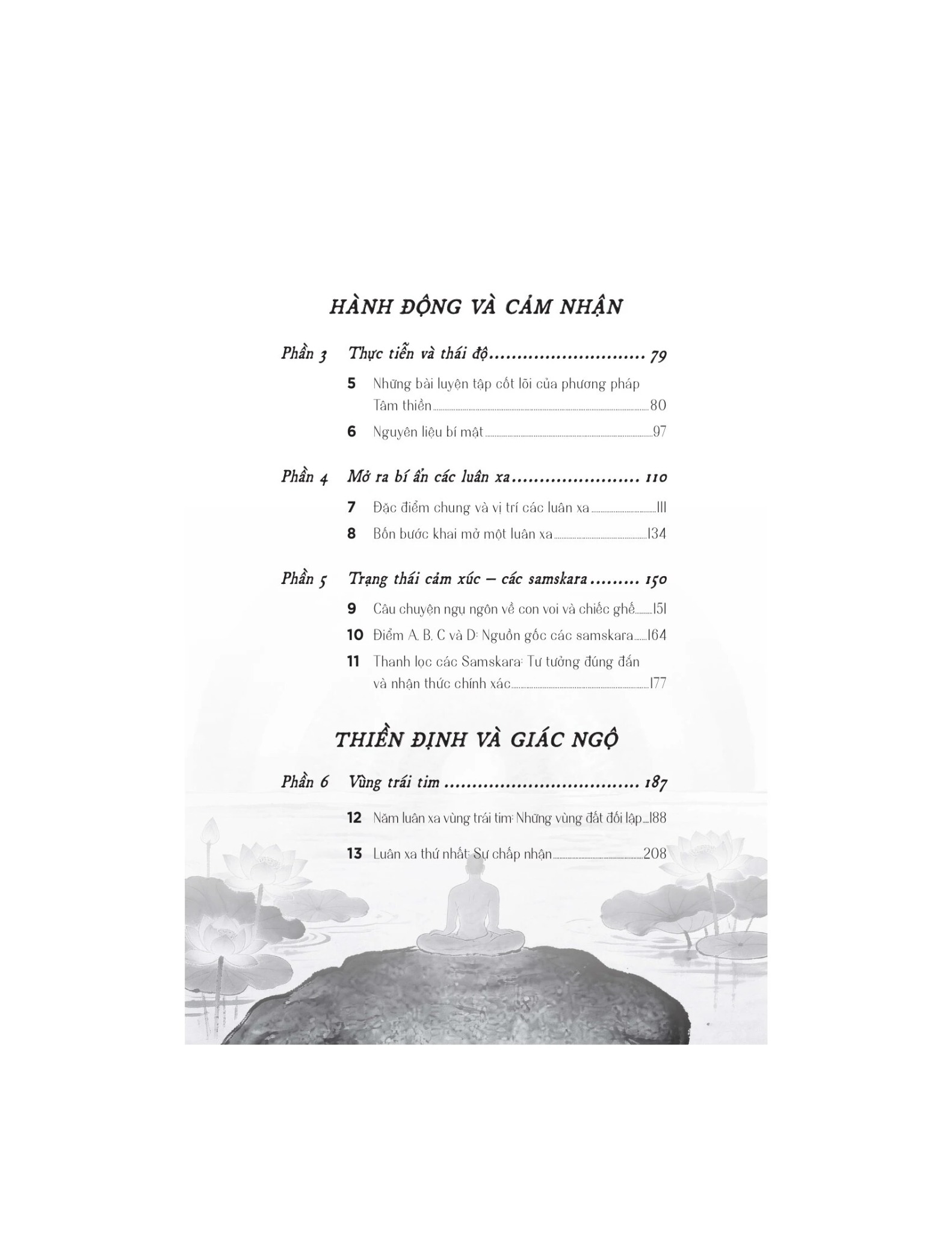 Thiền Thức Tỉnh - Daaji-Kamlesh D. Patel