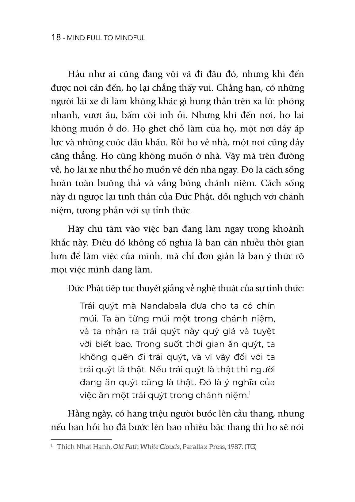 Mind Full To Mindful - Thiền Giữa Đời Thường - Om Swami