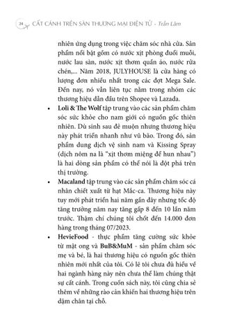  Cất Cánh Trên Sàn Thương Mại Điện Tử - Trần Lâm 