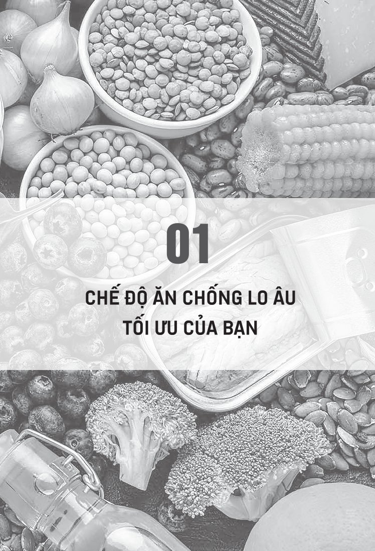 Dinh Dưỡng Cho Người Lo Âu - Trudy Scott