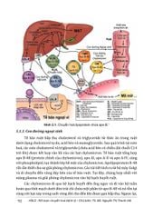 Hóa Sinh Lâm Sàng Rối Loạn Chuyển Hóa Bệnh Lý (ĐH Y HN )- Ts.Bs Nguyễn Thị Thanh Hải