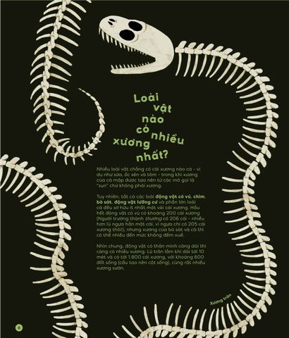  Chẳng Có Câu Hỏi Nào Là Ngớ Ngẩn! - 213 Câu Hỏi Kì Lạ Được Giải Đáp Vô Cùng Chuyên Nghiệp! - Mike Rampton, Guilherme Karsten 