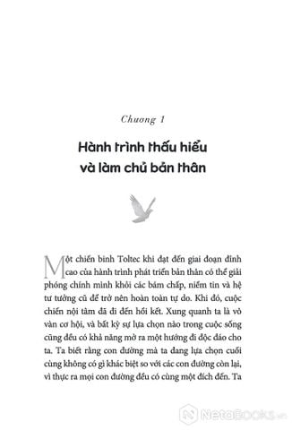  The Mastery Of Self - Hành Trình Thấu Hiểu Bản Thân Và Tìm Thấy Tự Do - Don Miguel Ruiz Jr 