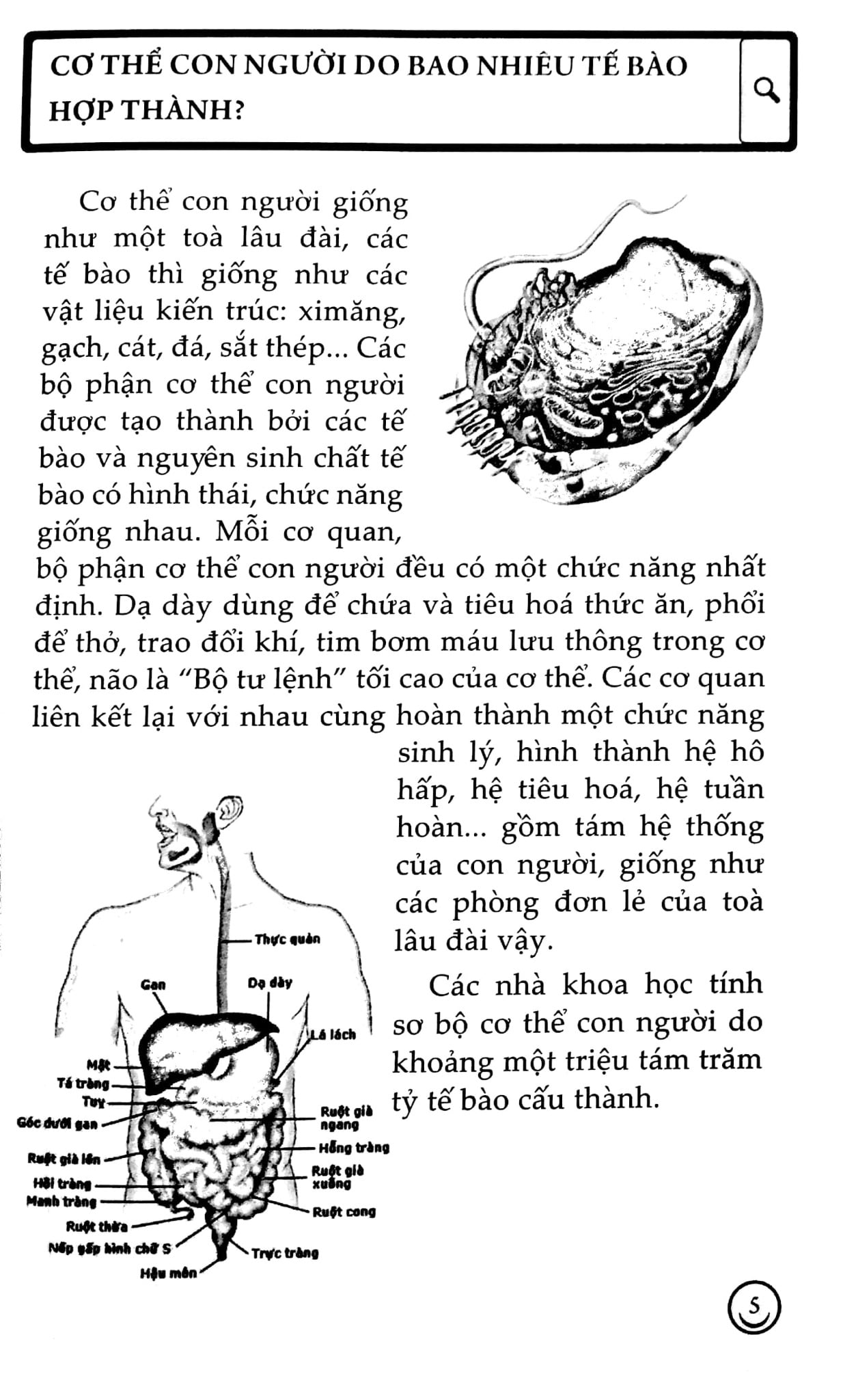 10 Vạn Câu Hỏi Vì Sao? - Con Người -  Đức Anh