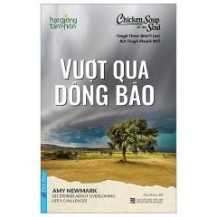 Combo 4 Cuốn Của Tác Giả Amy Newmark ( Vượt Qua Dông Bão + Gieo Hạt Mầm Tử Tế + Nắng Ấm Sau Mưa + Những Chồi Non Hy Vọng )