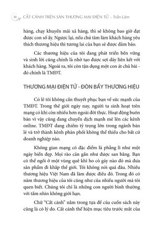  Cất Cánh Trên Sàn Thương Mại Điện Tử - Trần Lâm 